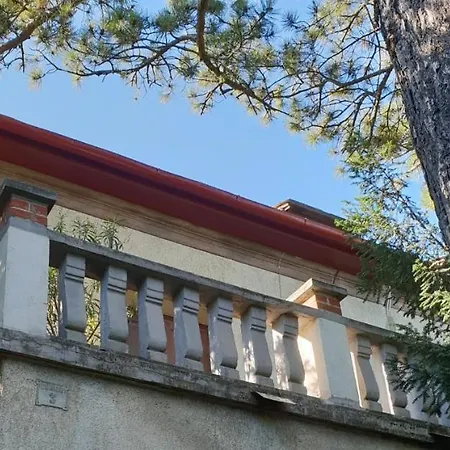 Kasza 公寓