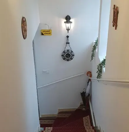 Kasza 블로톤퓌레드