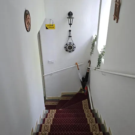Kasza 아파트 *