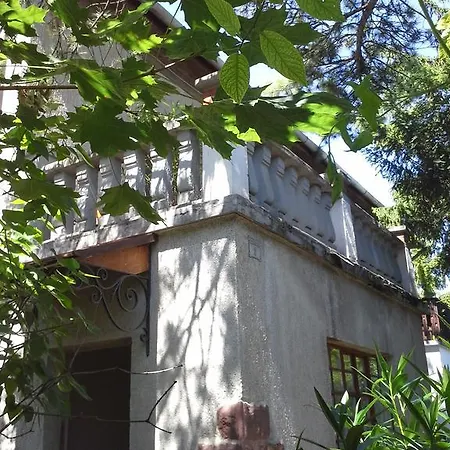 Kasza *