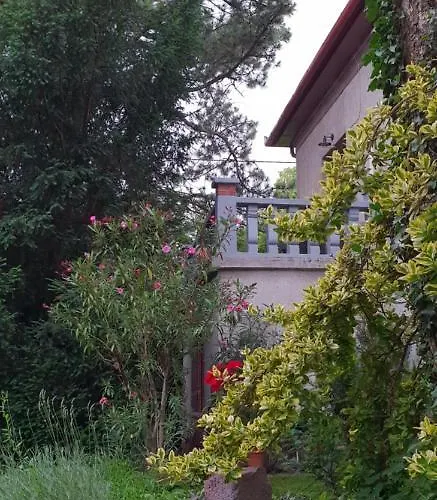 Apartmán Kasza *