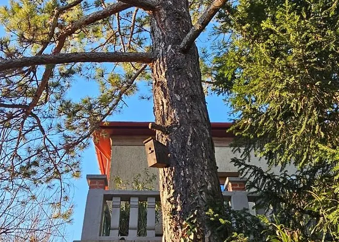 Kasza Apartmán